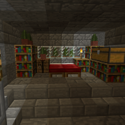 Fantasy Cellared House