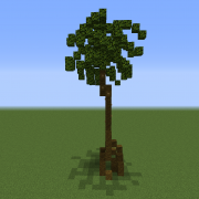 Realistic Palm Tree 4